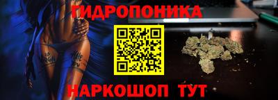 Альфа ПВП Славгород
